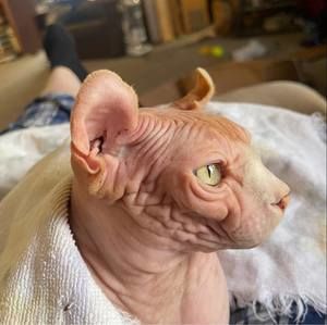 Meet your Posher, Debra